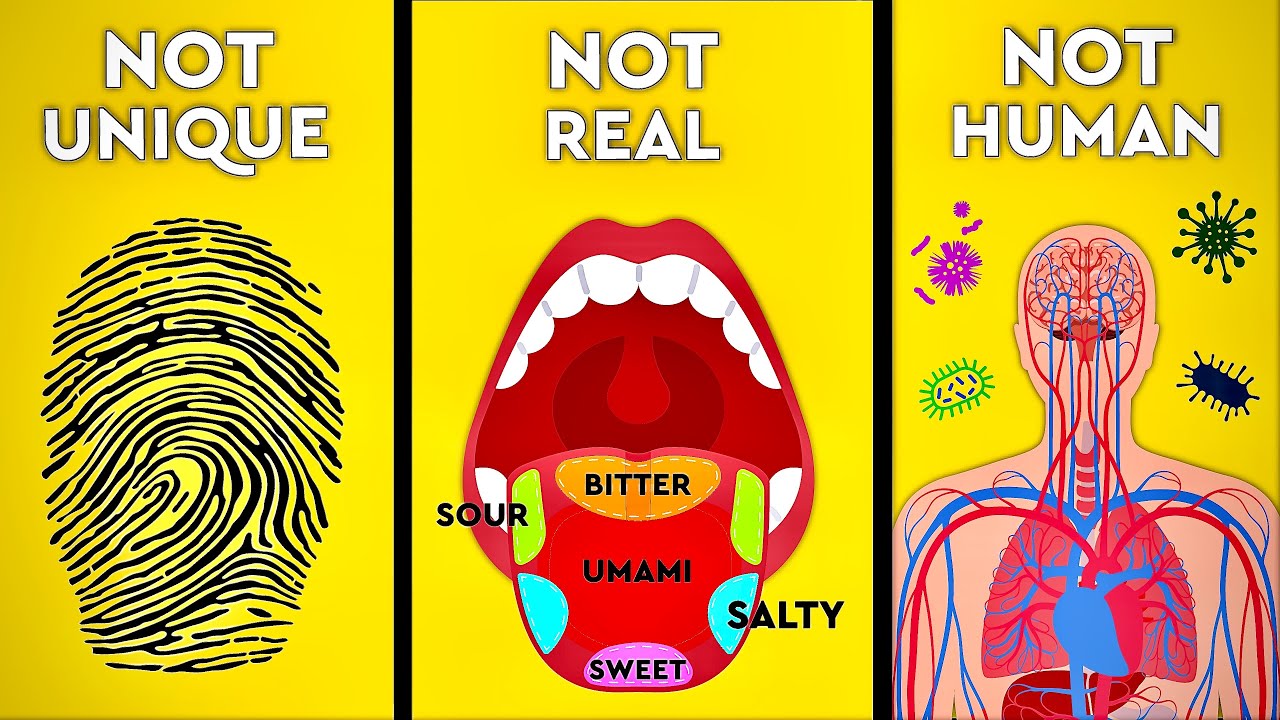 6 Common Human Body Myths You Likely Believe