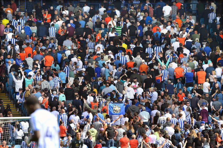 Sheffield Wednesday fans to protest 'toxic reign' of Dejphon Chansiri at  Hillsborough