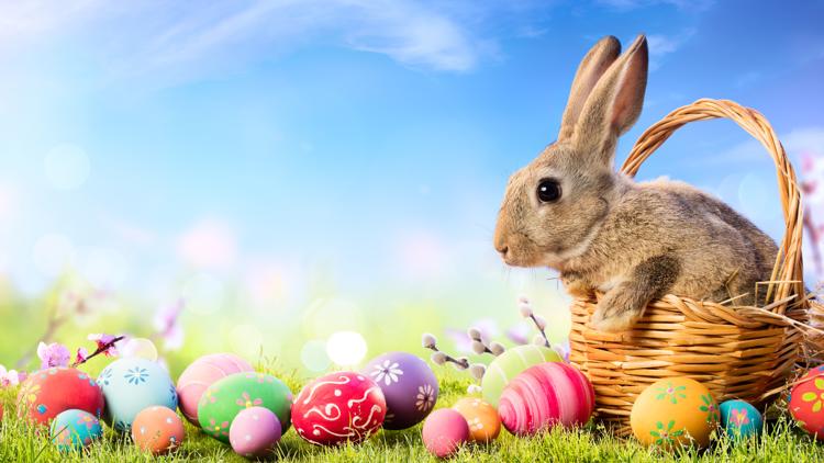 Where to celebrate Easter, spring events in Central Arkansas