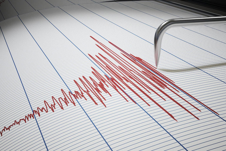Earthquake just hit san diego