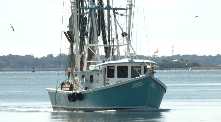 South Carolina shrimpers see tariffs as opportunity want targeted approach South Carolina shrimpers see tariffs as opportunity want targeted approach
