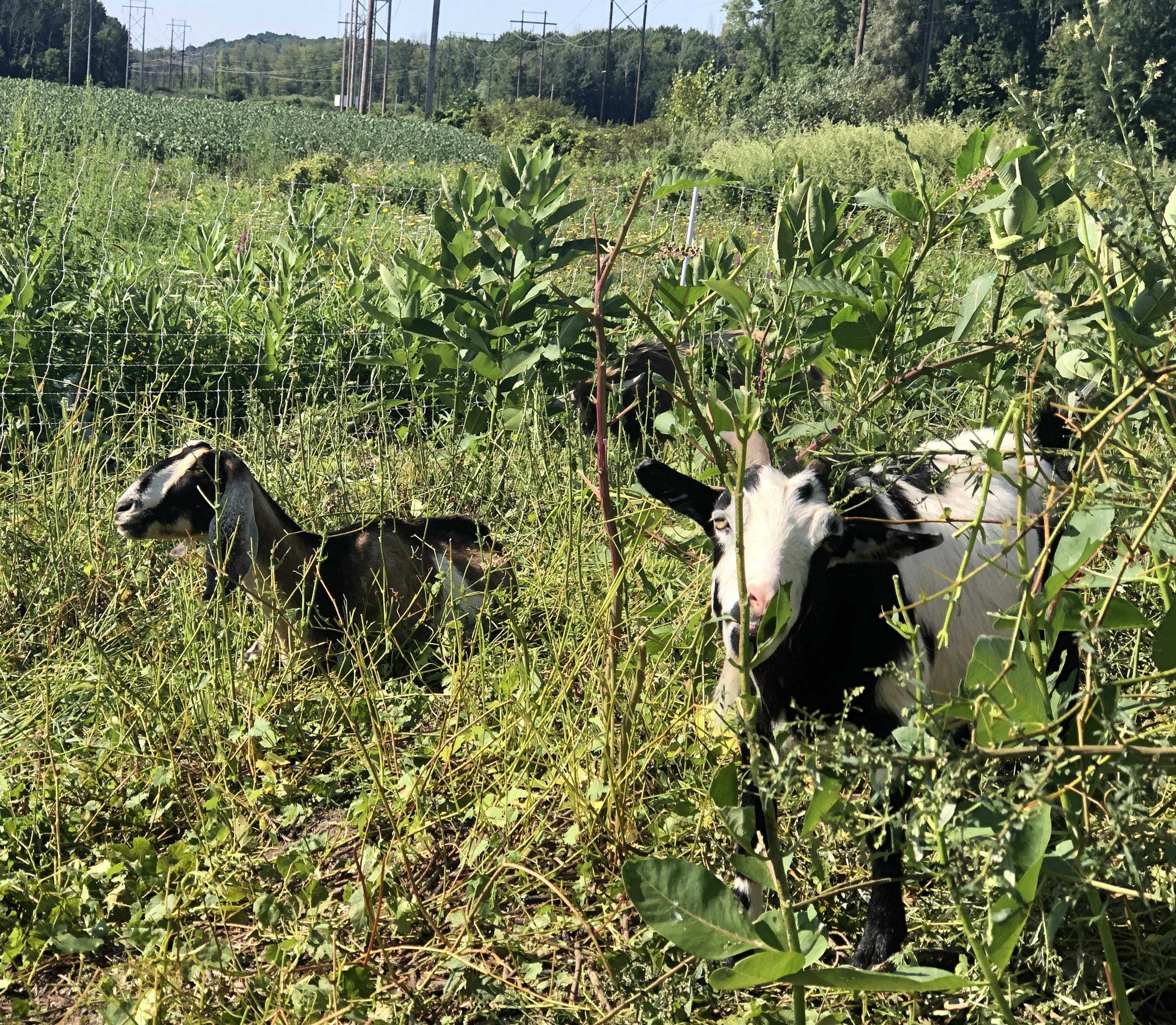 Spring break activities in the Finger Lakes: Top things to do with kids ...