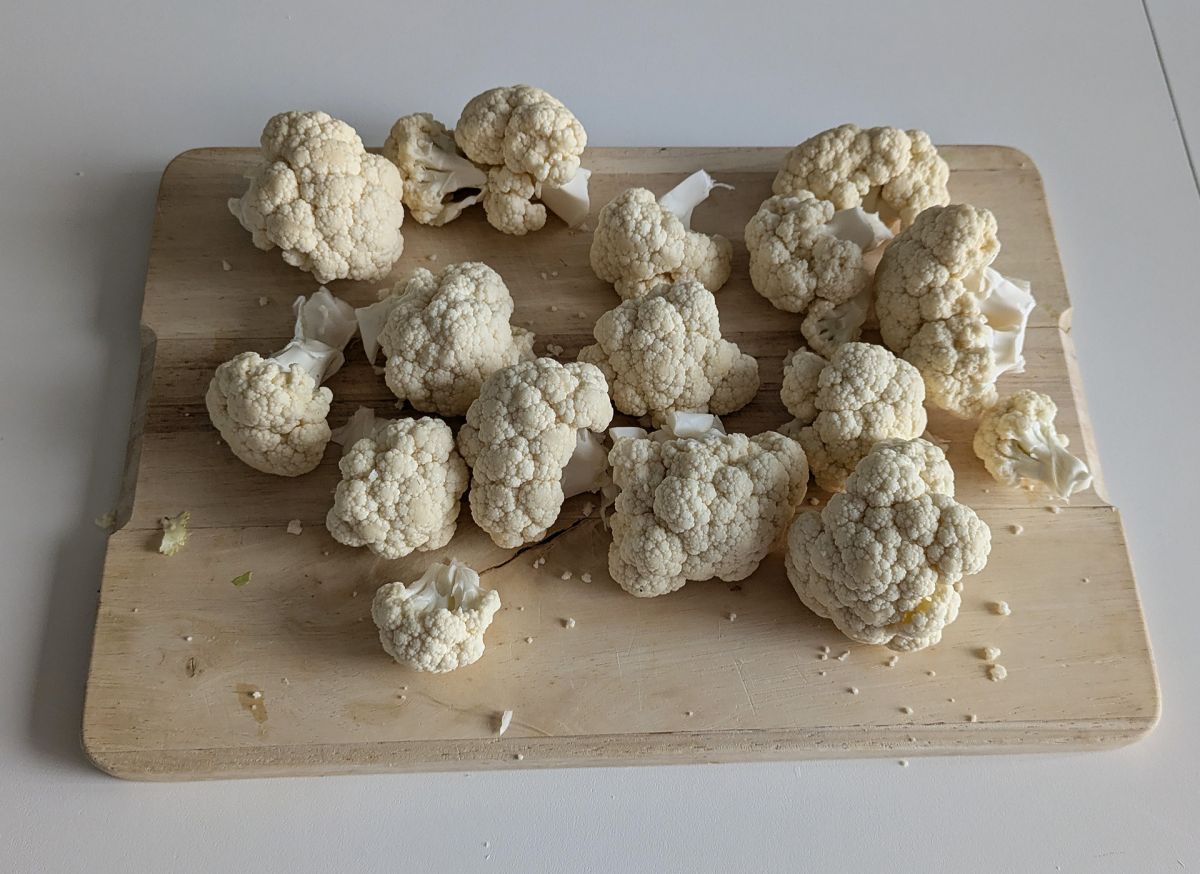 Blumenkohl-frikadellen in der heißluftfritteuse: das wirtschaftliche ...