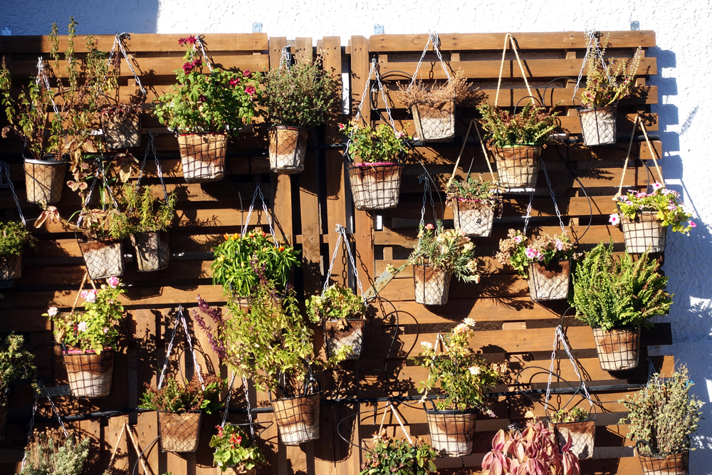 Stunning Container Gardening For Small Plot image