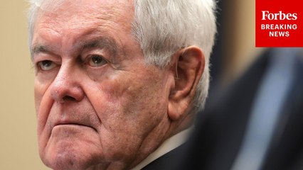 Newt Gingrich Reveals Shocking Number Of People Who Think U.S. System