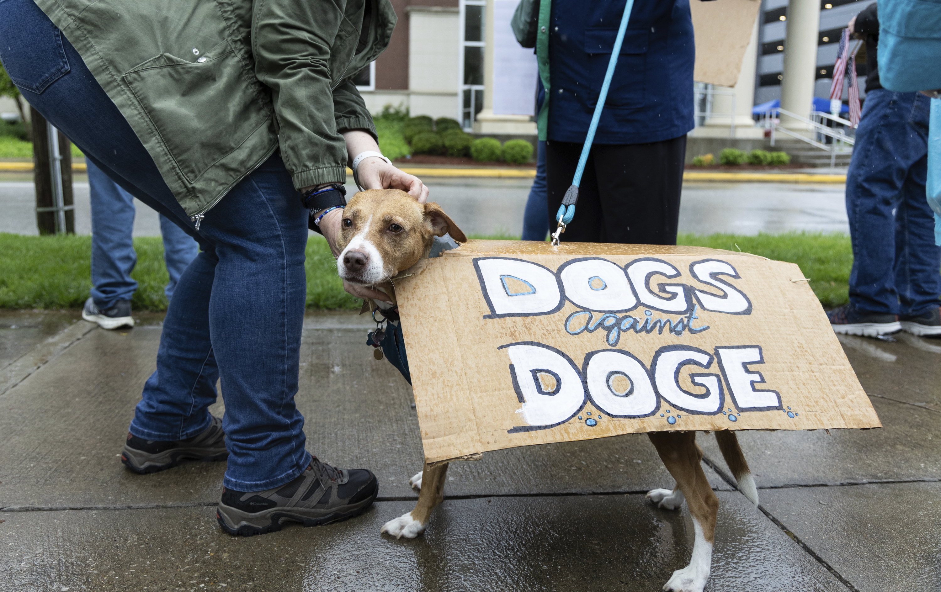 Judge Weighs DOGE Officials' Testimony in Peter Marocco Case