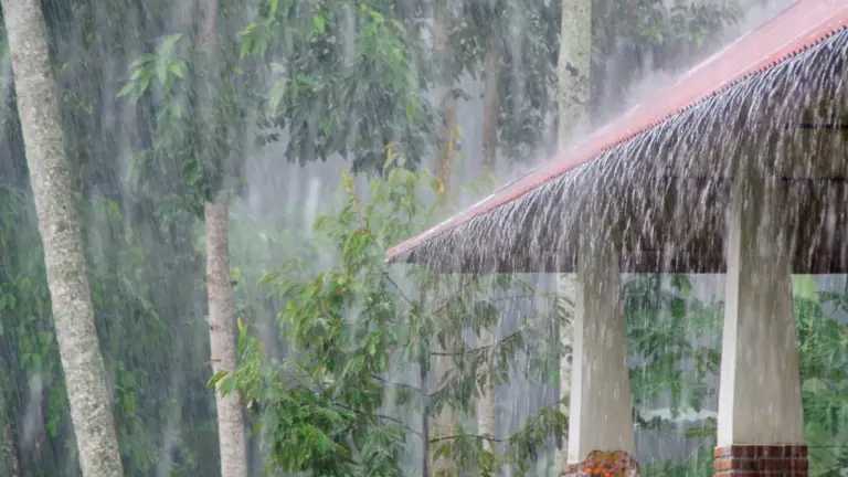 Hyderabad Weather: Afternoon Rain Brings Relief From Scorching Heat; IMD Forecasts Thunderstorms In Next 48 Hours

