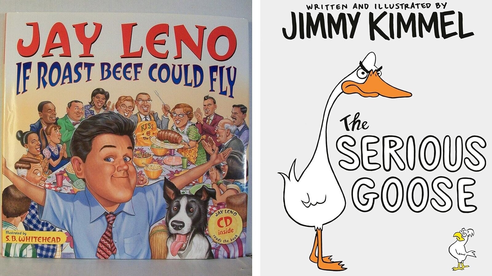 39 Good, Bad or Meh Books Written By Celebrities