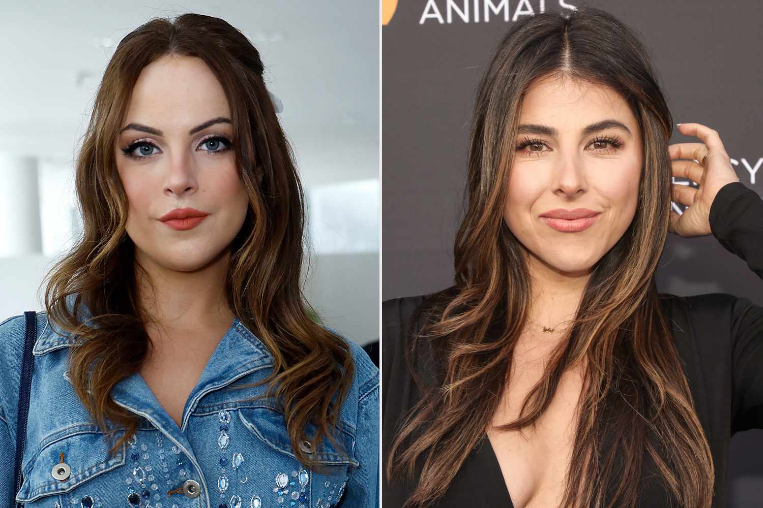 Liz Gillies Says She'd Play Jade West on Daniella Monet's “Victorious”  Spinoff If It's 'Funny and Smart' (Exclusive), image size:1500x1000