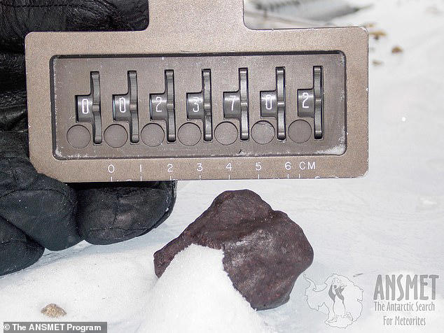 The researchers analysed a rare meteorite found in Antarctica (pictured) which has the same composition as the early Earth. Their study revealed that this space rock was much richer in hydrogen, one of the ingredients of water, than expected 