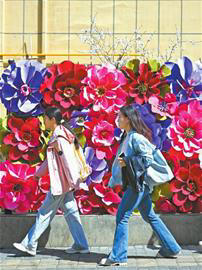 一条背街小巷的浪漫变身