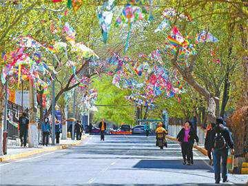 一条背街小巷的浪漫变身