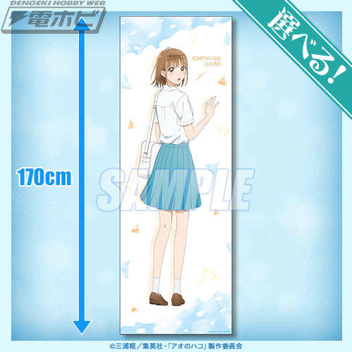 アオのハコ 一番くじ A賞 B賞 ポスター 鹿野千夏 蝶野雛 （一番