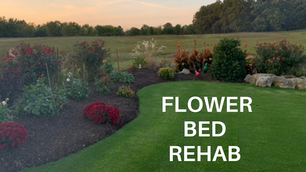 Flower Bed Overhaul Say Goodbye - AA1CbMwL.img