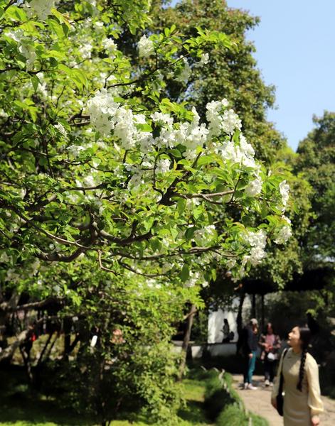 Are Your Social Security Benefits Taxable? It Depends