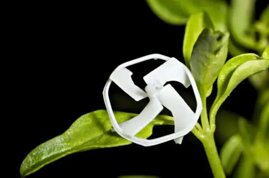 受蜜蜂启发 可控飞行的最小无线机器人问世