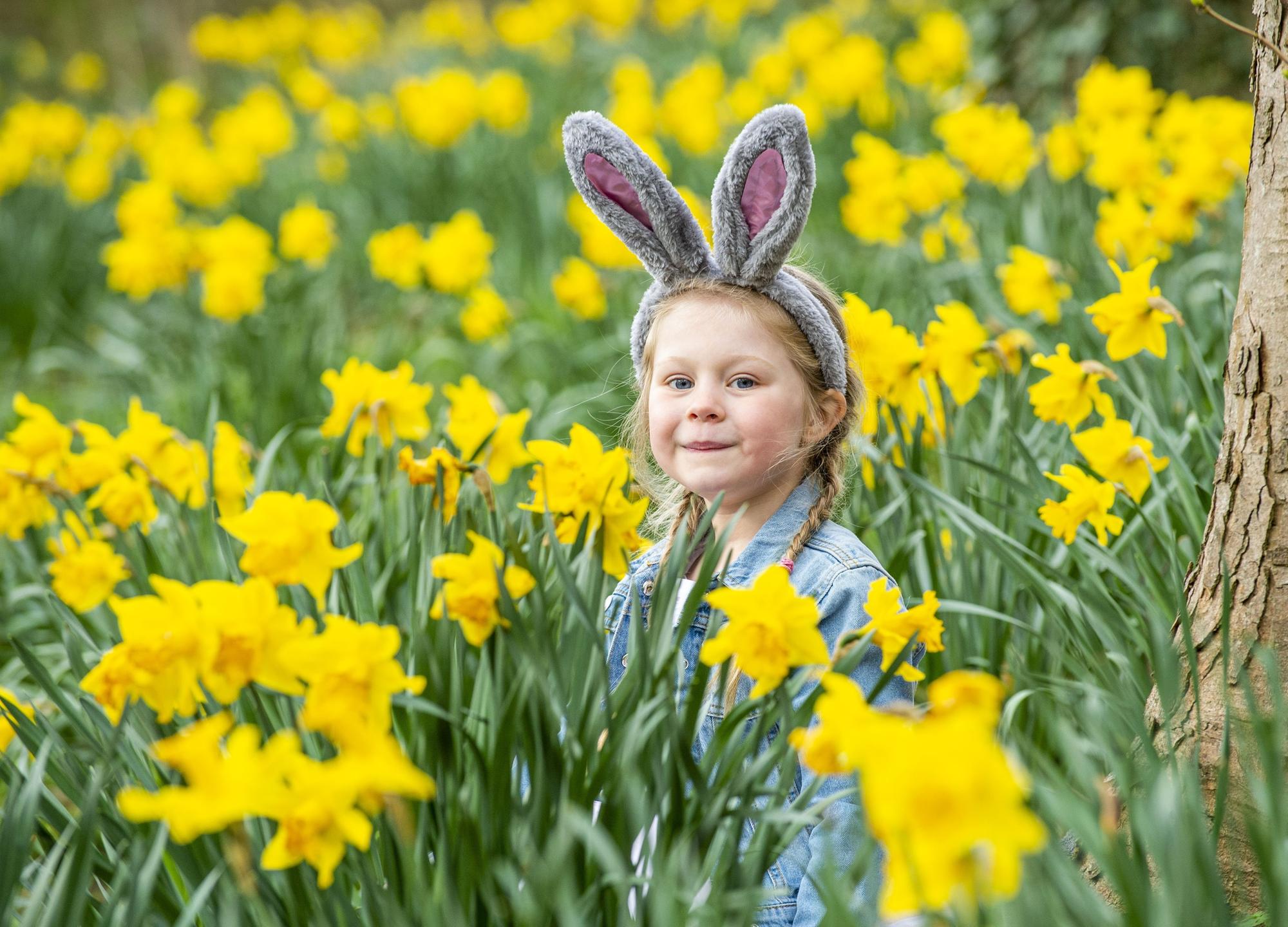 Family friendly Easter holiday fun for all in the Falkirk area