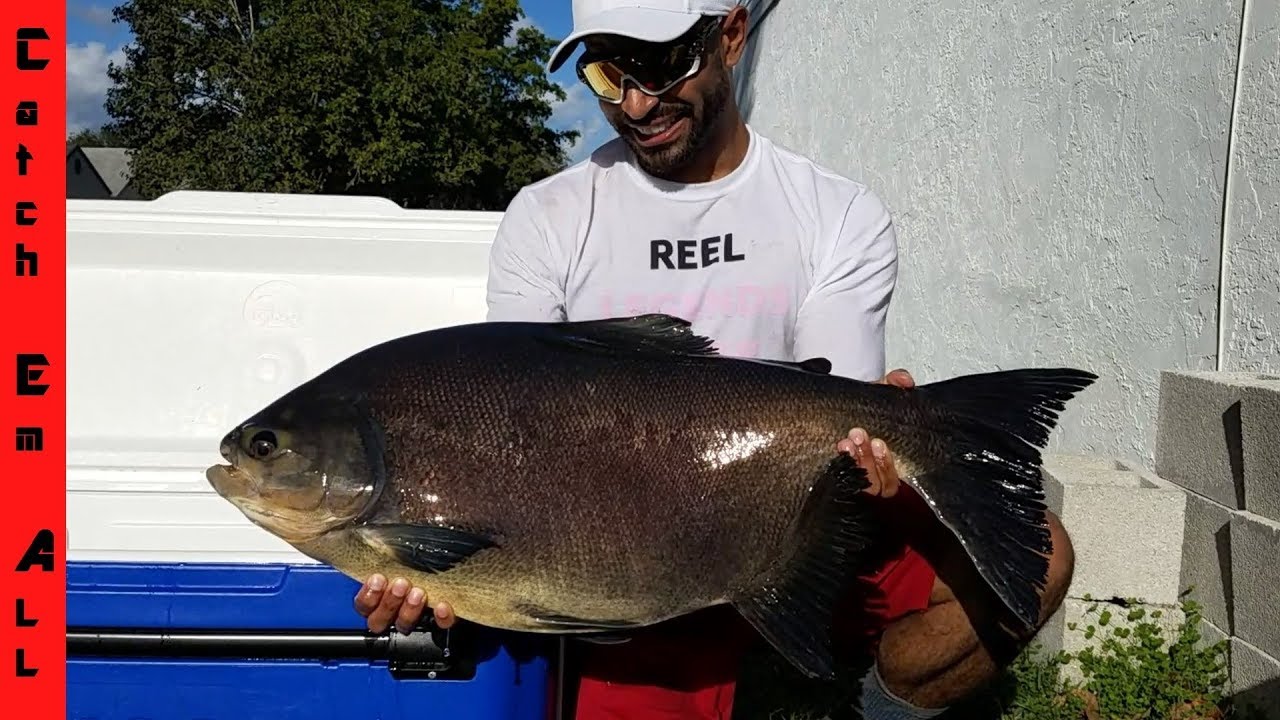 The world’s hardest fish to catch