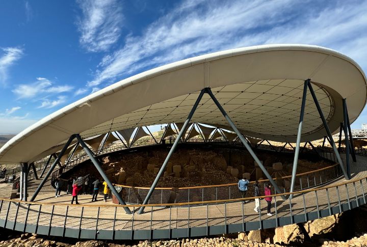 Wake Up: The True Purpose of Teacups and Cups Still Baffles Experts!