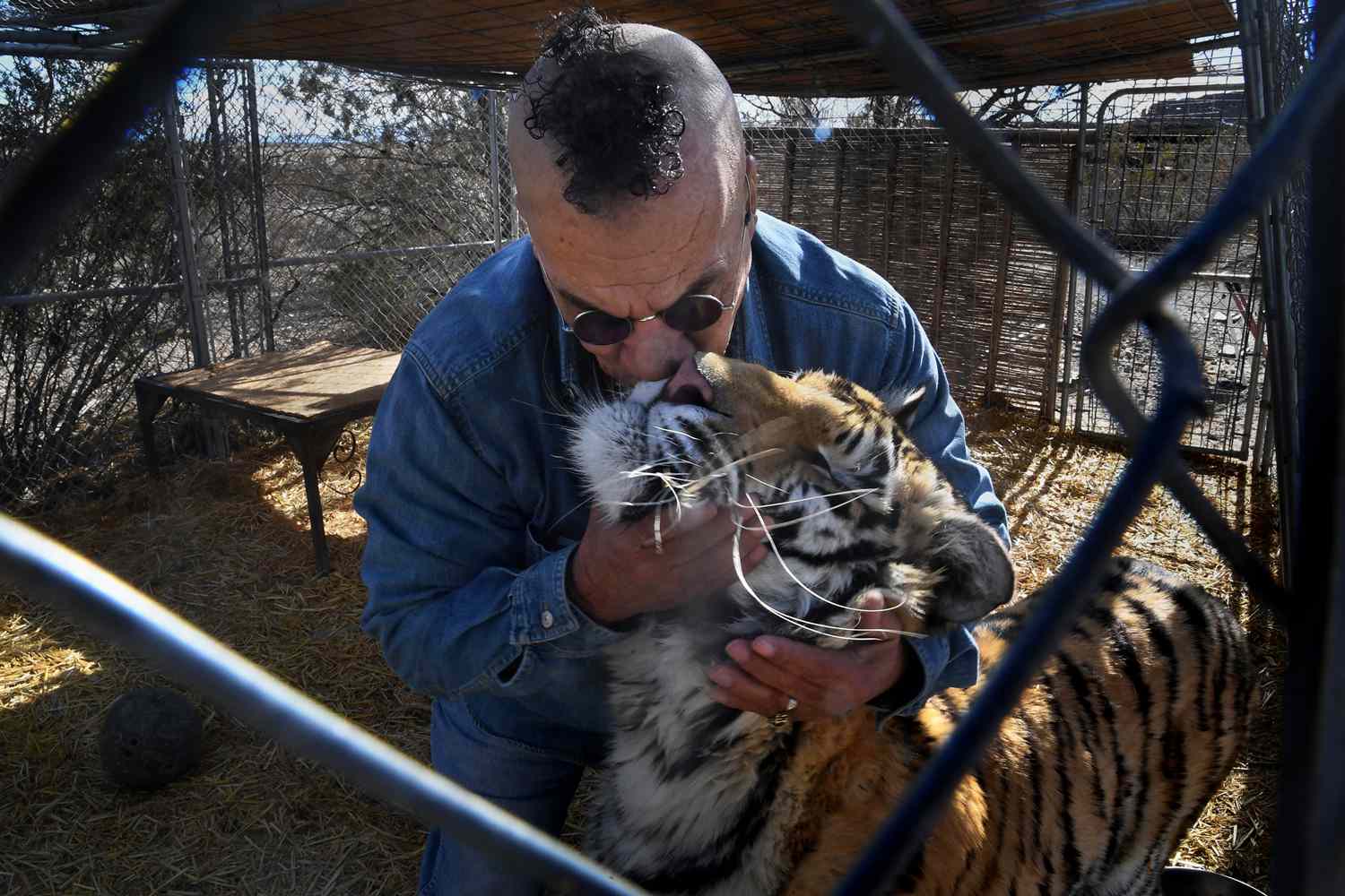 Tigers that Once Belonged to Joe Exotic Are Seized from Man's Home(02)