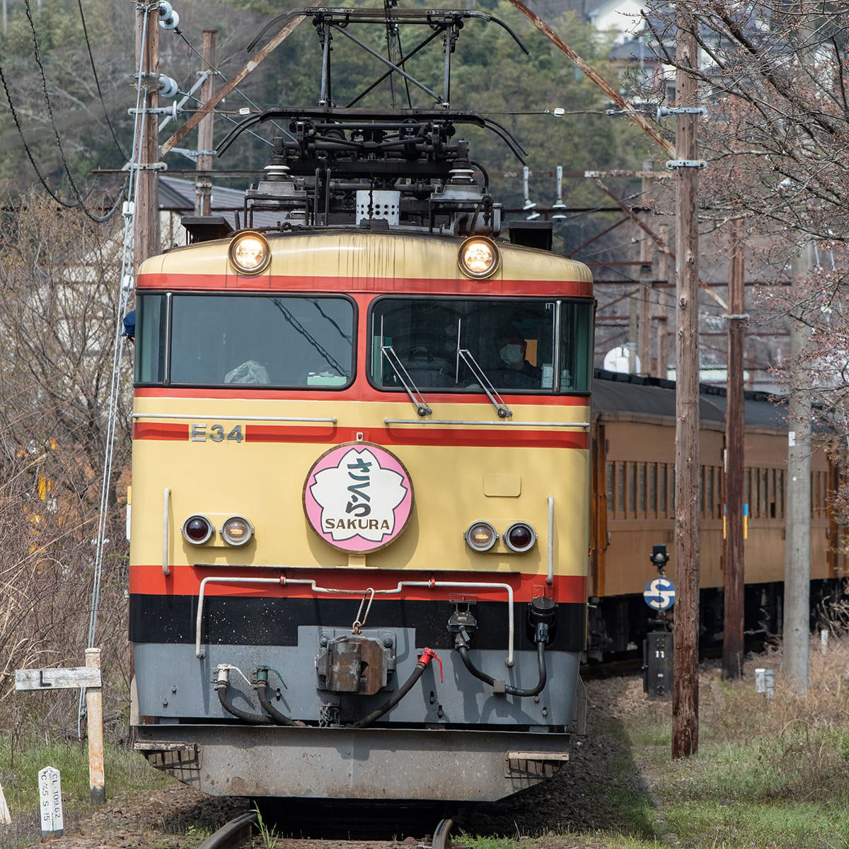 大井川鐵道「E31形電気機関車」が「まさかの国鉄色」に大変身で 大井川鐵道「E31形電気機関車」が「まさかの国鉄色」に大変身で