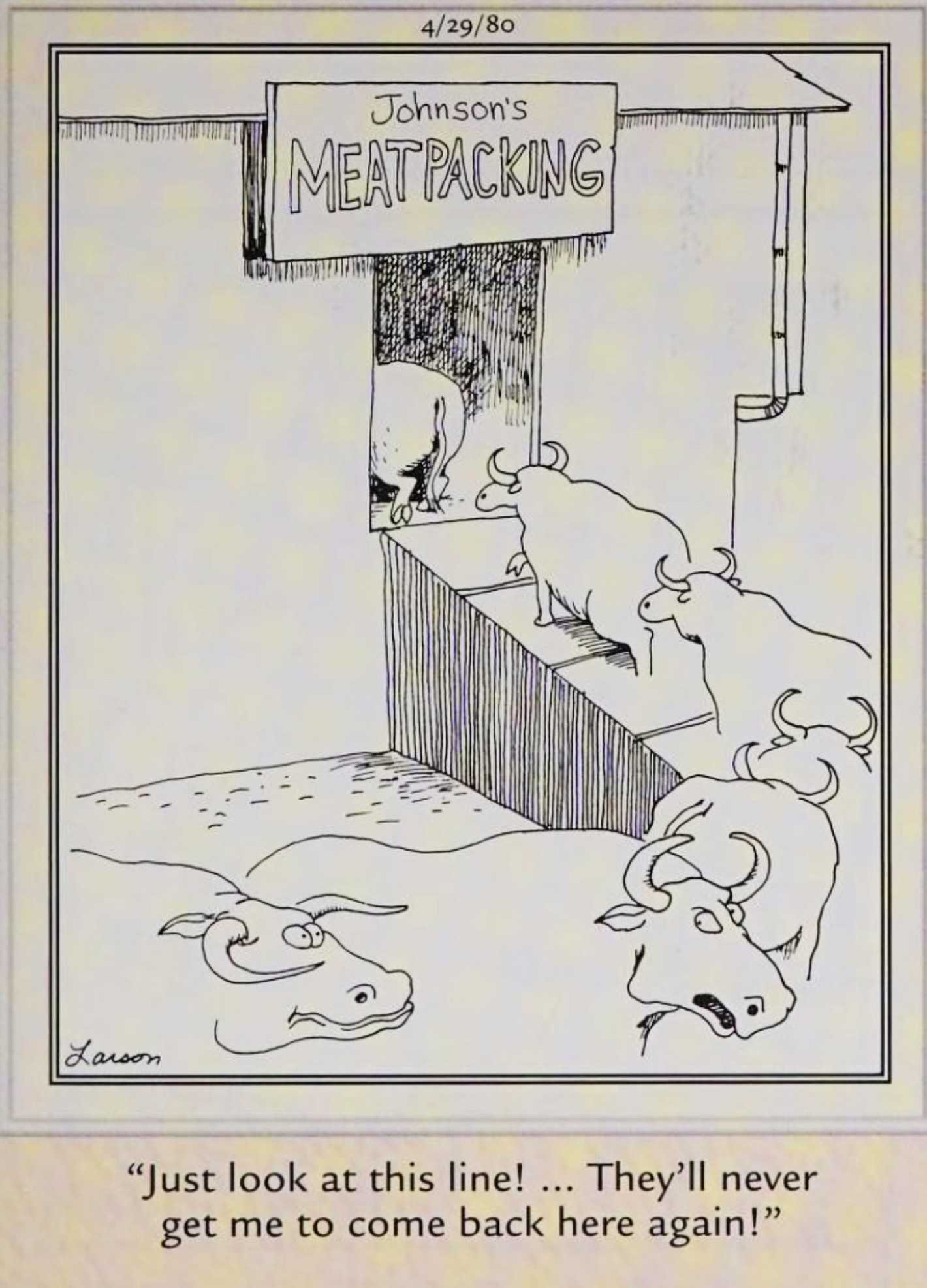Far Side, April 29, 1980, cows in line to be slaughtered complaining about the wait