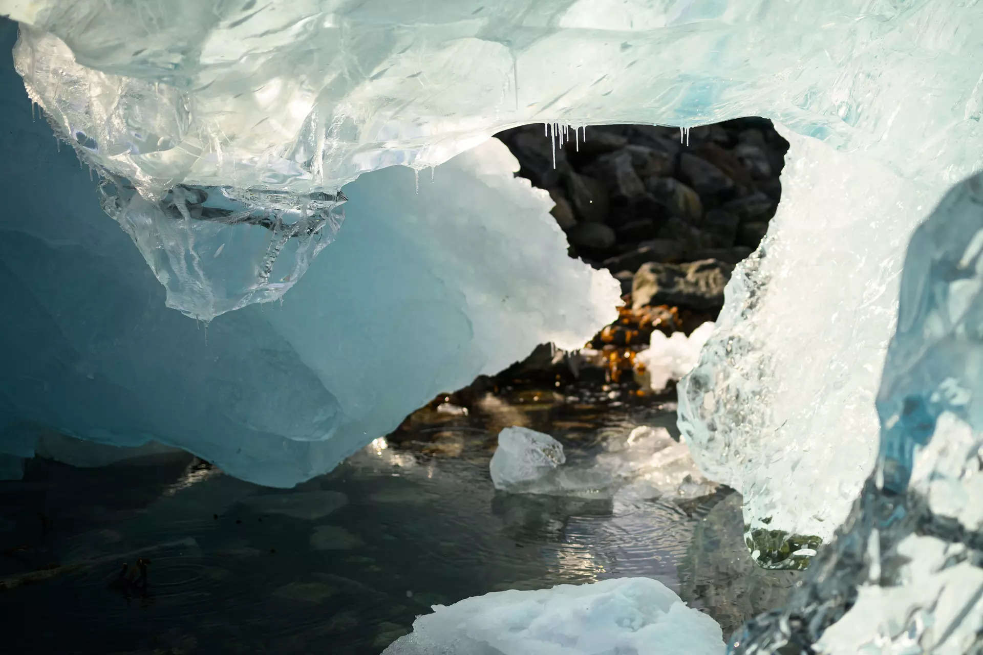 Strategise to access minerals, resources in Arctic as ice melts: NCPOR chief