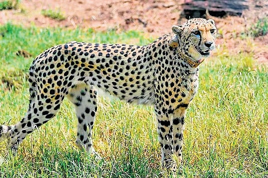 Image used for representational purpose.