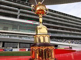 Dubai World Cup meeting: A look at prize money in nine prestigious races