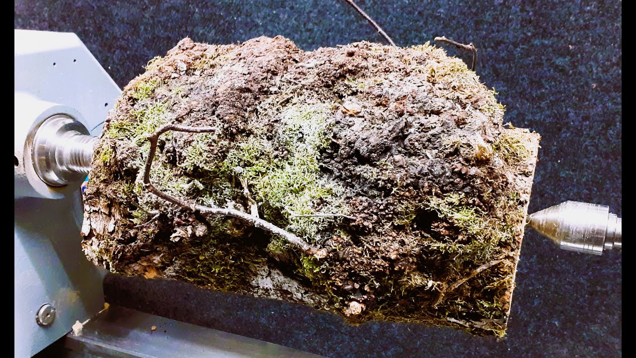 This Man Might Have Messed Up