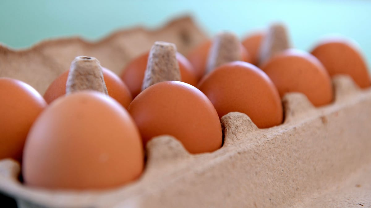  Eierpreise Ostern 2025 in NRW: Preissteigerung bei Lebensmitteln 