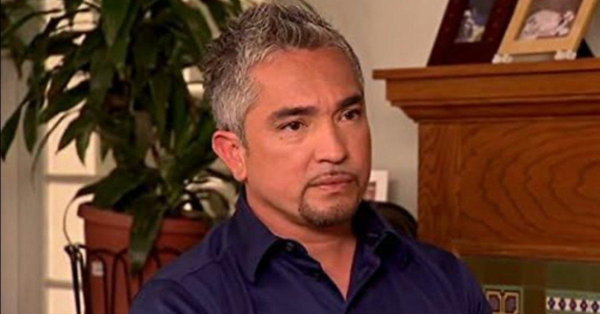 Was Cesar Millan Really Sentenced to Life in Prison? Addressing the Rumor