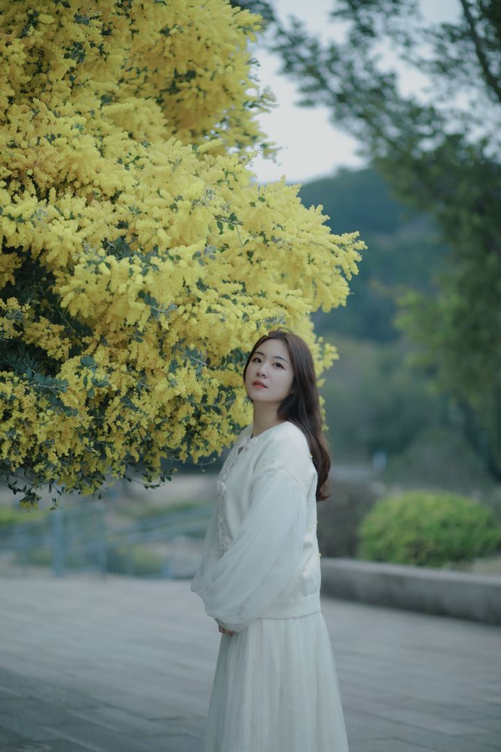 Inside Michelle and Barack Obama’s Secret Divorce Talks