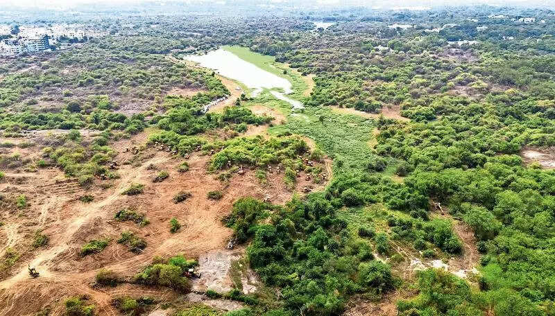 Auction plan scrapped, Kancha Gachibowli to turn into 2k-acre eco-park