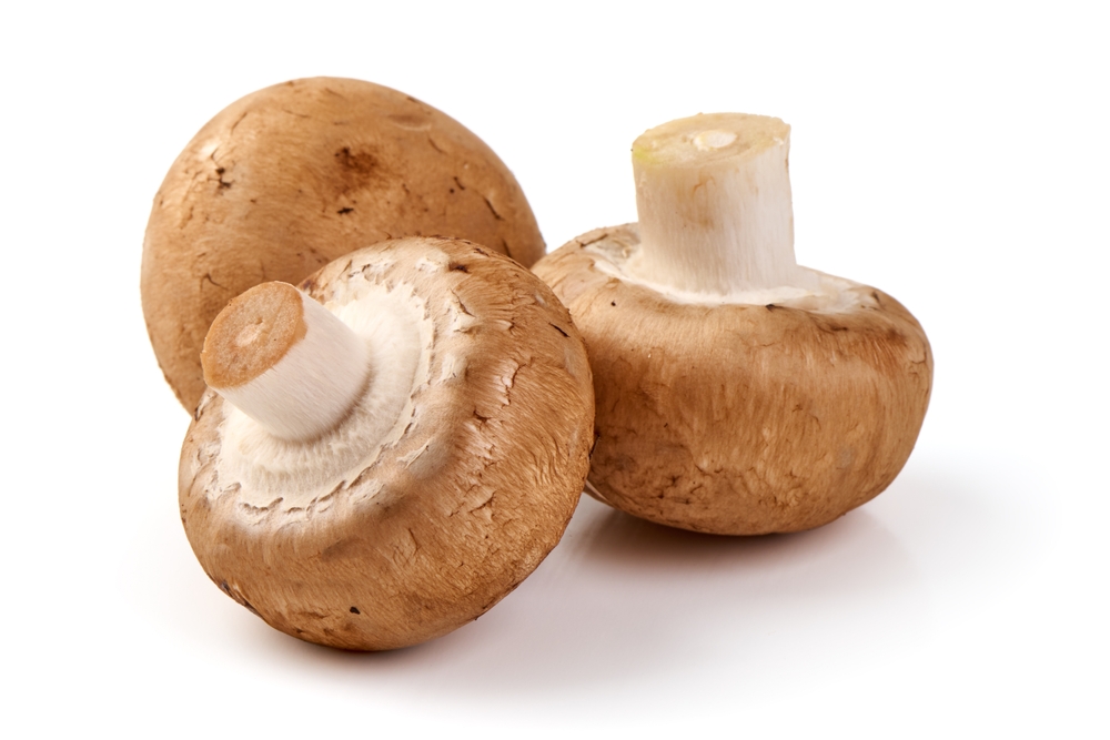 Difference Between Magic Truffles and Magic Mushrooms