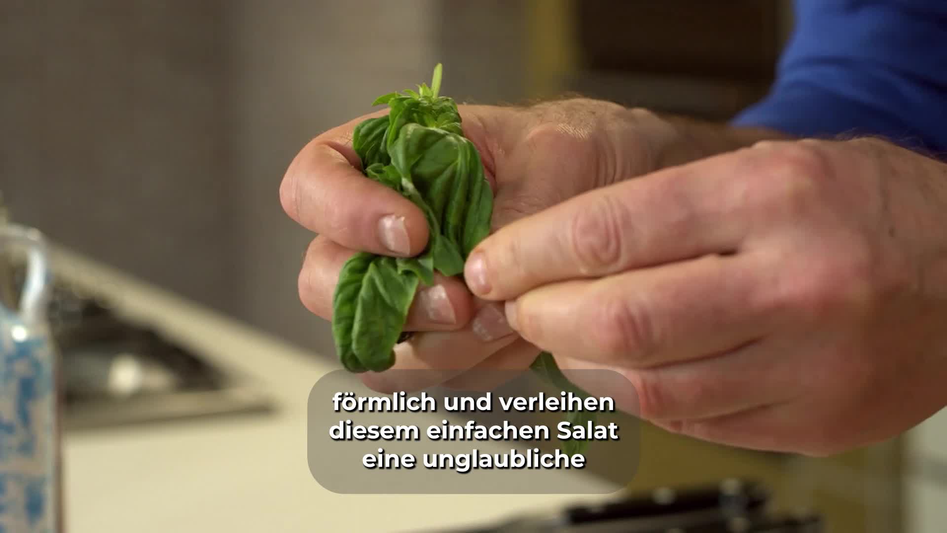 Frischer Panzanella-Salat mit Basilikum, Tomaten und Olivenöl