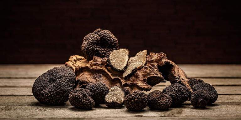 Difference Between Magic Truffles and Magic Mushrooms
