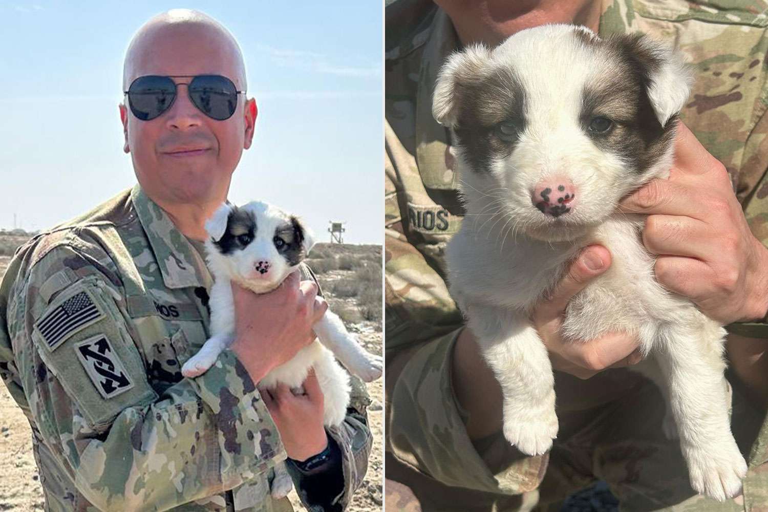 Army First Sergeant Needs Help to ‘Rescue’ Pup He Befriended Overseas(00)