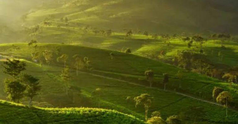 15 Tempat Wisata Tawangmangu untuk Liburan Seru Bareng Keluarga!