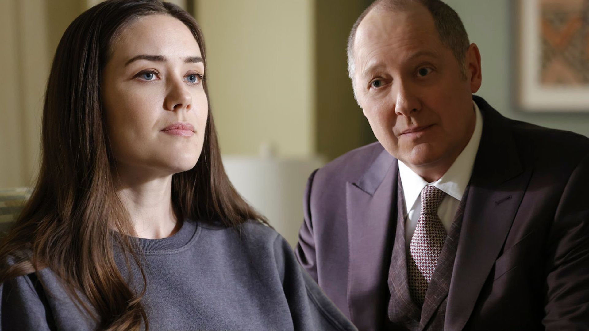 How Did 'The Blacklist' End? How Every Main Character Ended the Series(01)
