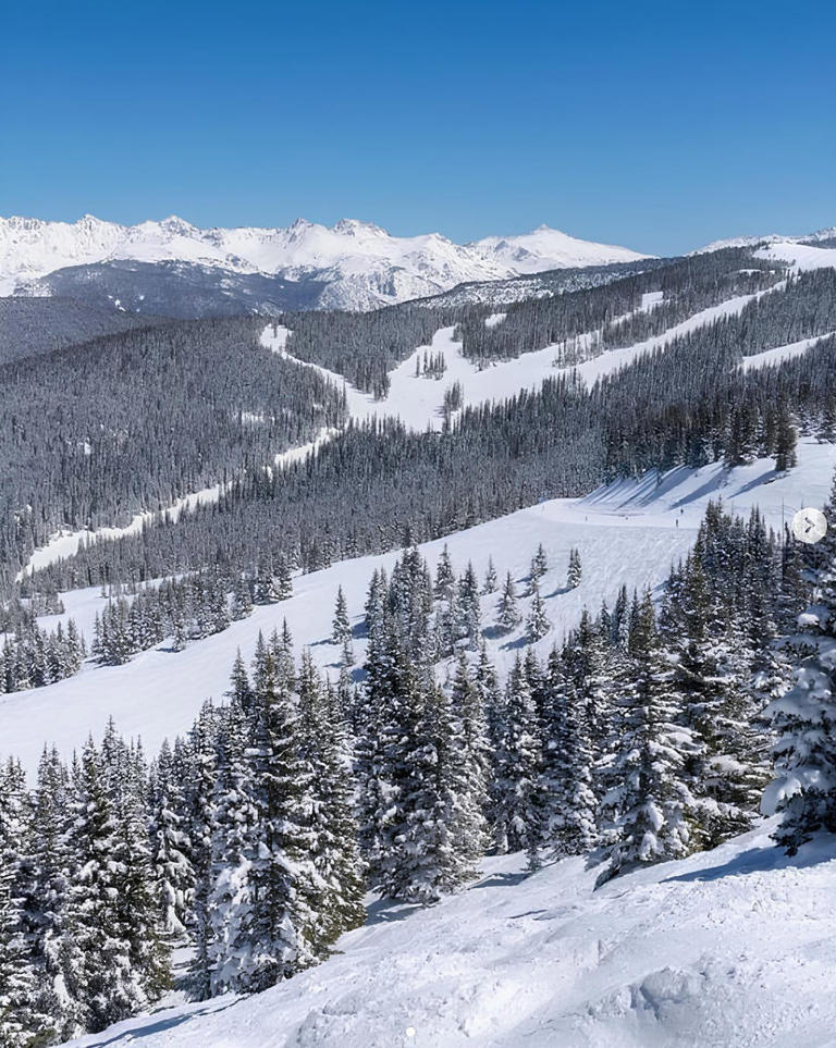 The ELLE Guide to Vail: Skiing, Dining, and Must-See Spots