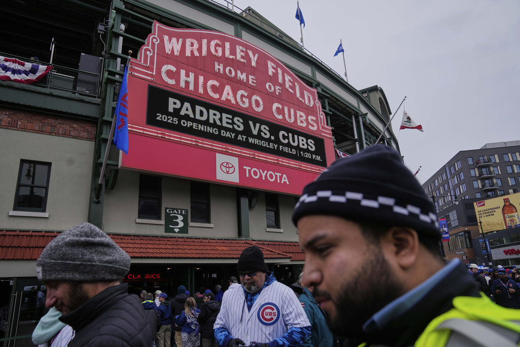 Geese make nest next to iconic Wrigley Field bleachers during Chicago