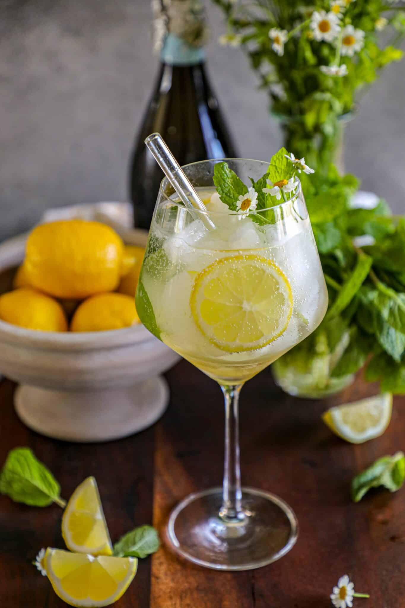 Hugo Spritz Recipe