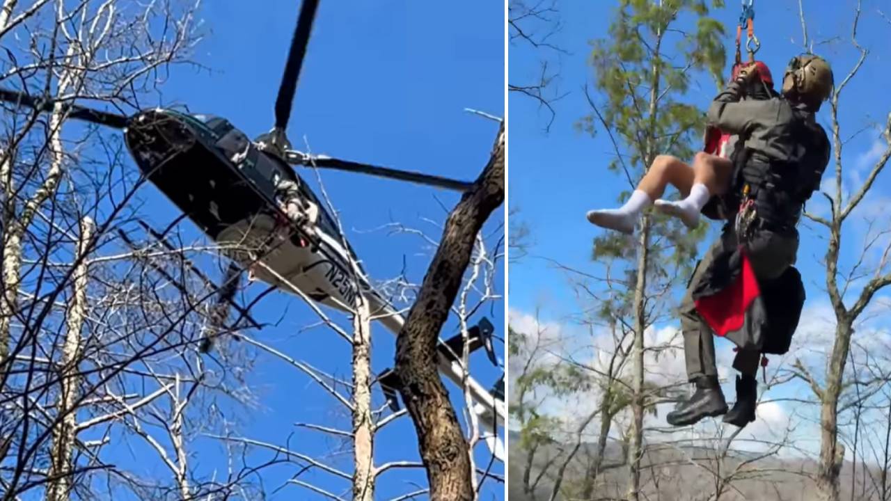 Man killed, another airlifted after tree falls on campsite in remote