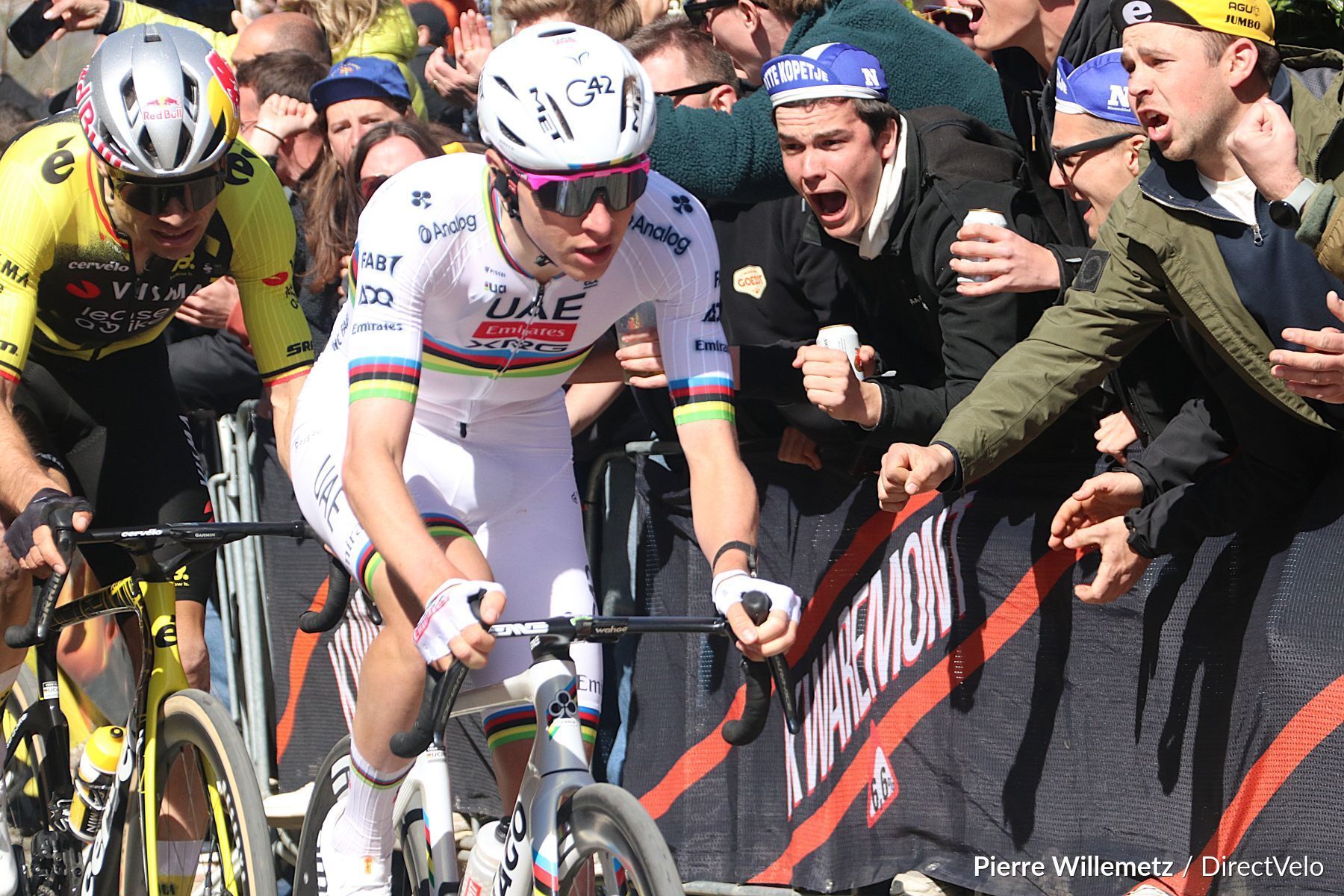 Flandres : La concurrence lessivée par la machine Tadej Pogacar