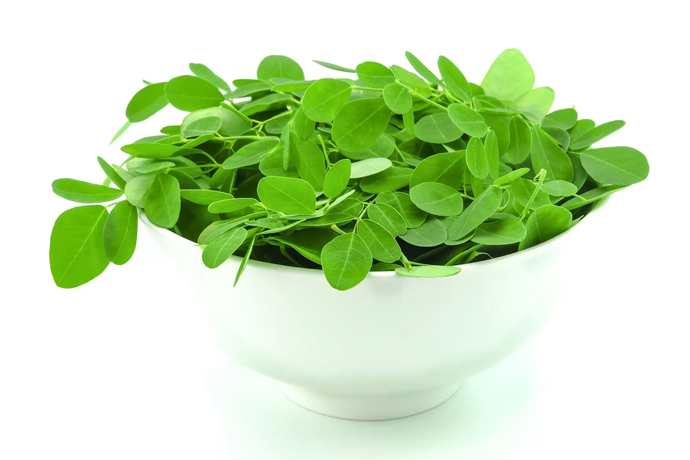 5 Khasiat Luar Biasa Mengonsumsi Daun Kelor Setiap Hari