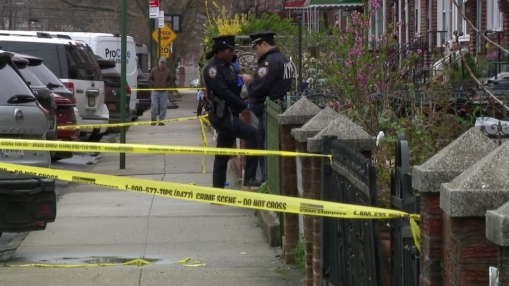 Neighbors react after Brooklyn man attacks 4 girls with meat cleaver