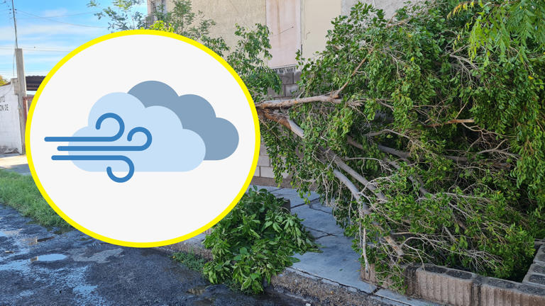 El pronóstico incluye rachas de viento que podrían ocasionar tolvaneras, caída de árboles y anuncios.