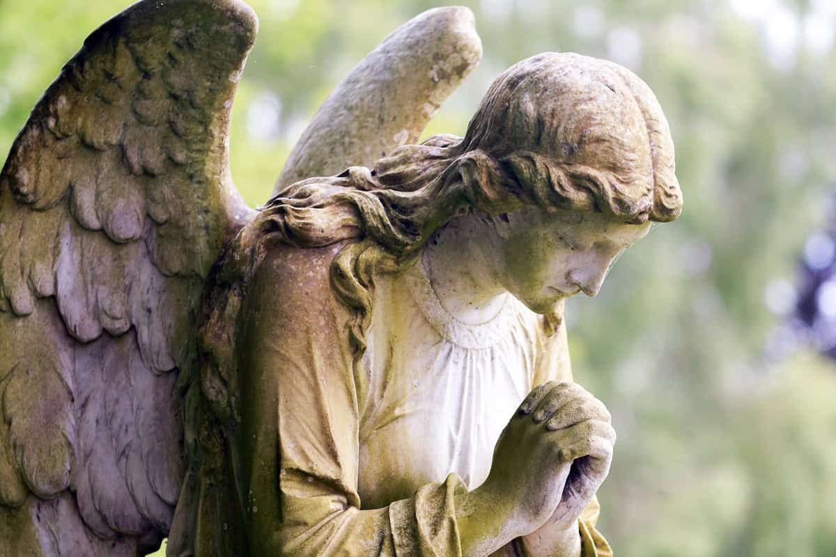 7 Signs Your Guardian Angel Is Trying To Contact You