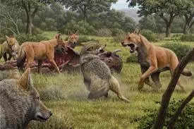 Dire wolves brought back to life using ancient DNA and modern science